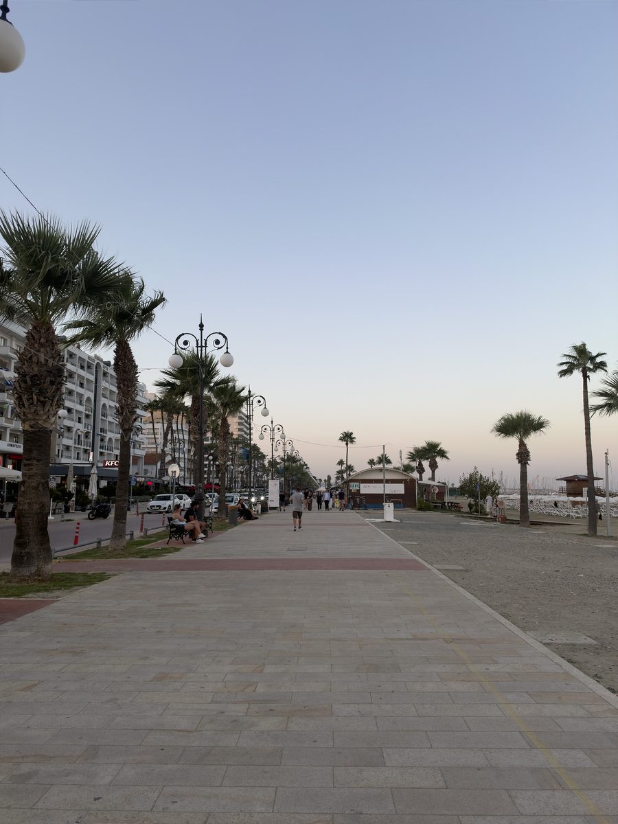 Wide paved promenade lined with palm trees and street lamps along the Larnaca waterfront at sunset